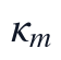 \kappa_m