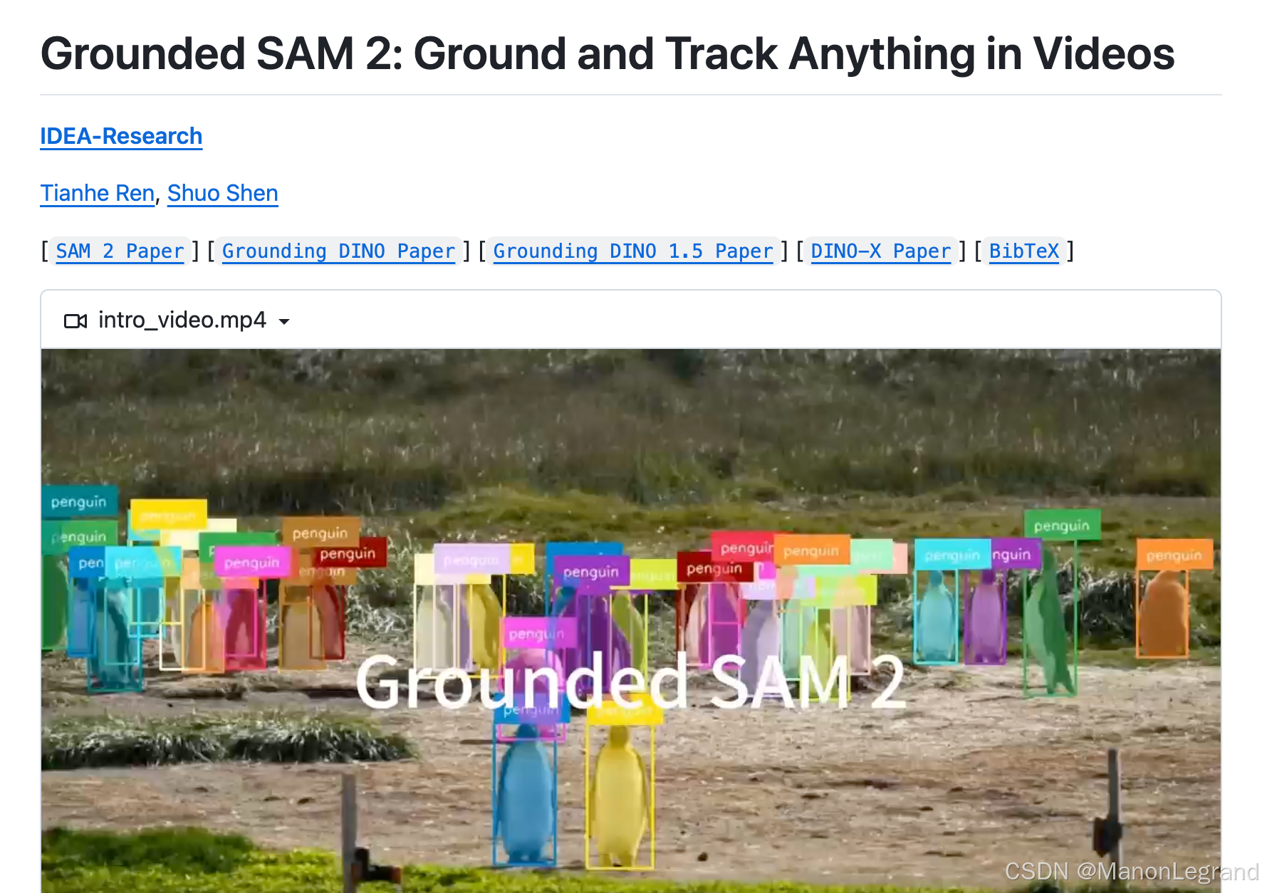 Grounded SAM2