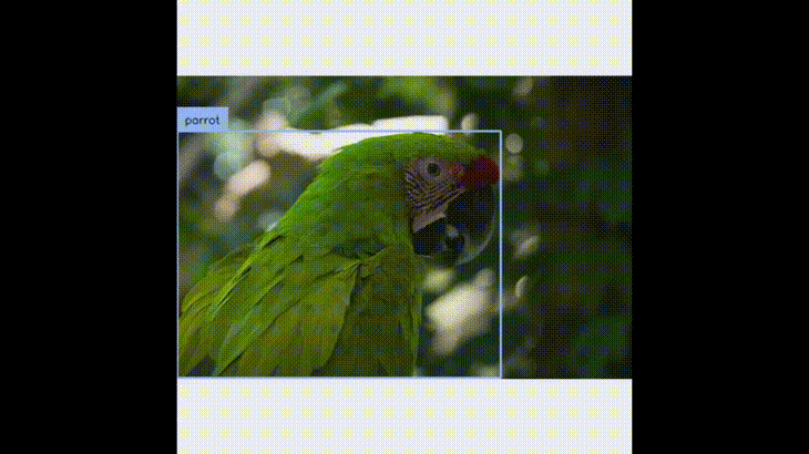 数据集-目标检测系列- 鹦鹉 检测数据集 parrot>> DataBall-CSDN博客