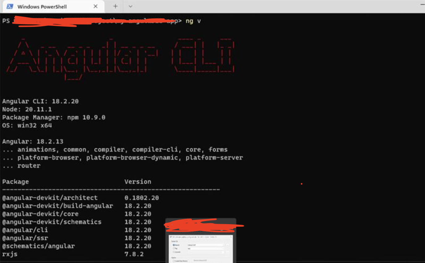 报错:Error RuntimeError: NG0203: inject() must be called from injection ...