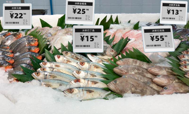 电子标签 https://i-blog.csdnimg.cn/direct/2ef2710d776341b0834645ccf03d4e71.png#pic_center