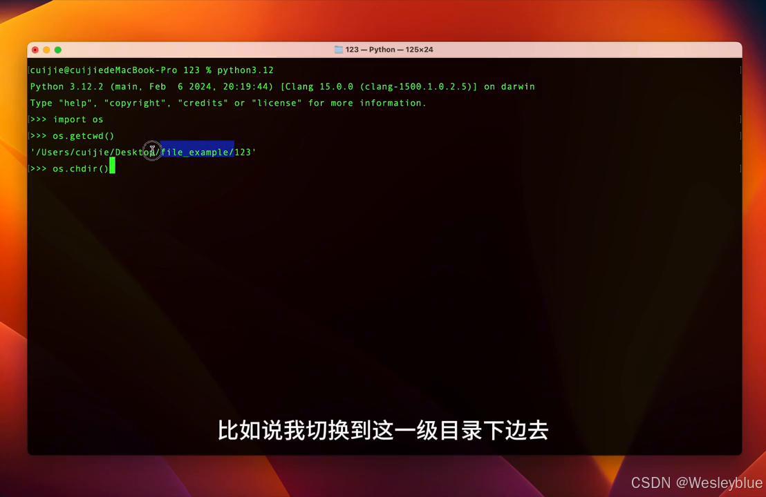 os模块 文件目录操作 进程管理_python学生系统