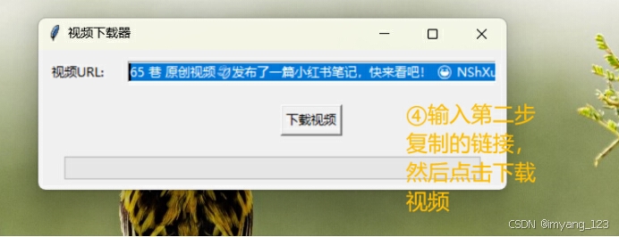 Python Write File 小红薯视频下载(python)_python下载小红书视频-CSDN博客