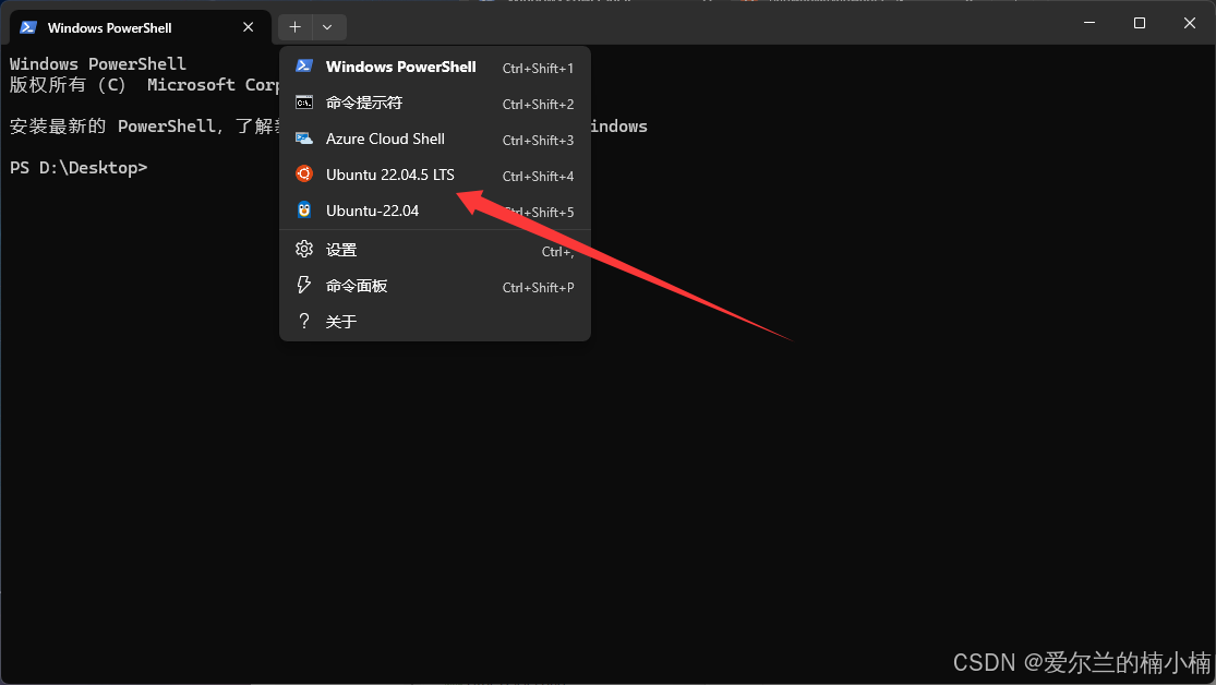 在这里插入图片描述