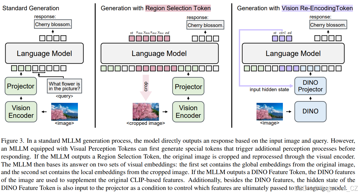 VPT：Introducing Visual Perception Token into Multimodal Large Language ...