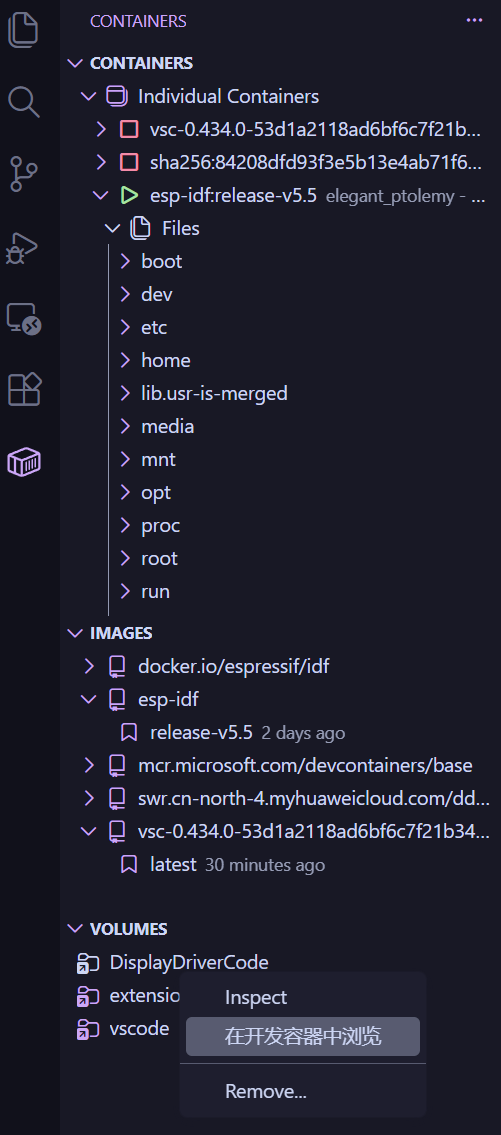 Container Tools 侧边栏