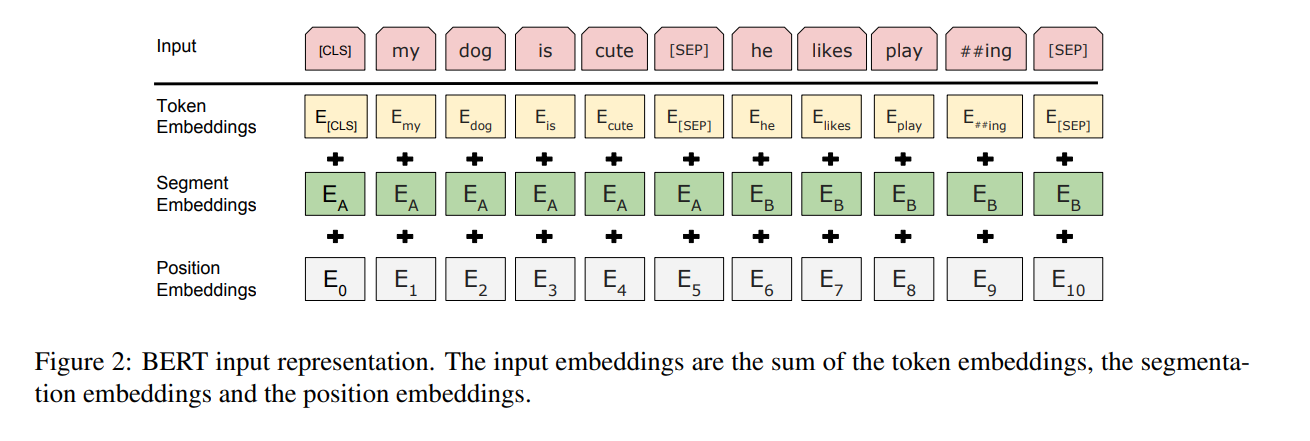 BERT input representation