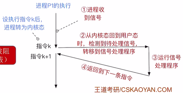 信号处理的流程