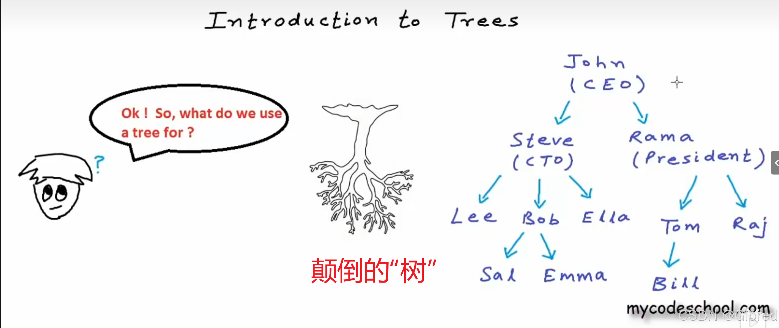 18树:树的基本概念_树根=树头吗-CSDN博客