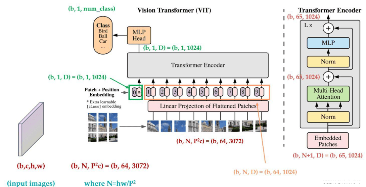 Vit Model Features 【大模型:多模态LLM】--一文理解VIT(Vision Transformer)模型_vit模型-CSDN博客