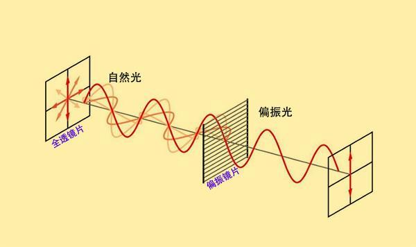 [激光原理与应用-282]：理论 - 波动光学 - 波的共性：能量传递、周期运动、干涉叠加、衍射弯曲、多普勒频移、偏振、反射、折射、色散、衰减 ...