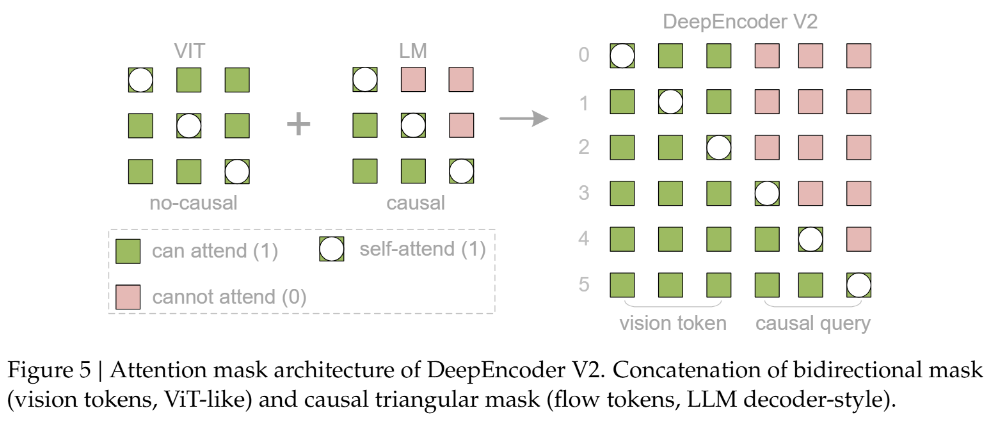 图 5：DeepEncoder V2 的注意力掩码设计。左侧蓝色区域为双向注意力，右侧绿色区域为因果注意力