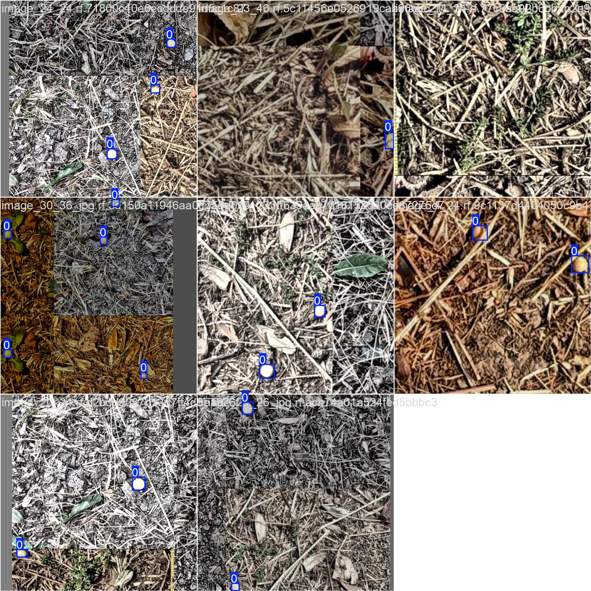 YOLOv8大豆识别检测系统(项目源码+YOLO数据集+模型权重+UI界面+python+深度学习+环境配置)_基于yolov8大豆检测系统 ...