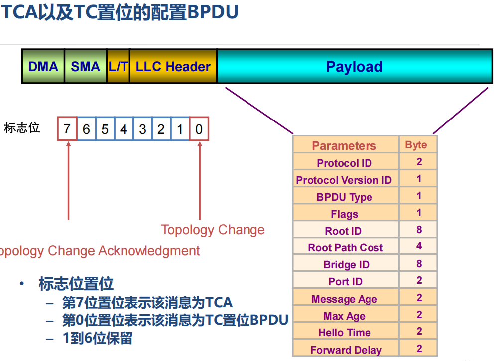 Btp Rpu RSTP技术-CSDN博客