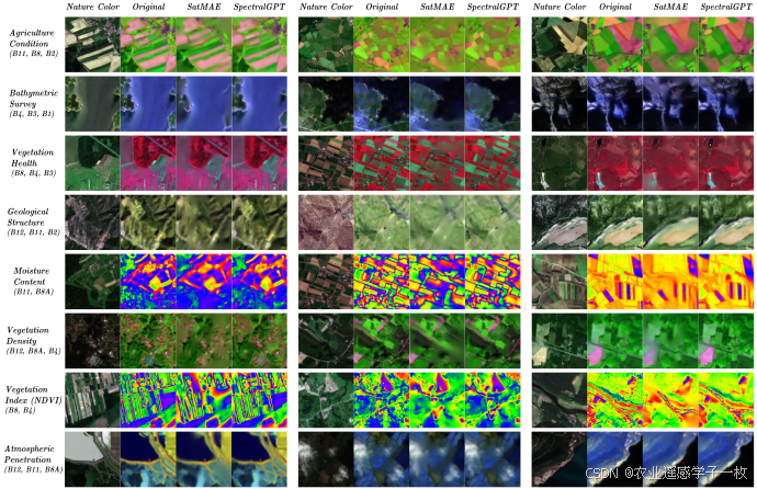 Spectral Raster Datasets SpectralGPT: Spectral Remote Sensing Foundation Model 首个专为光谱遥感数据定制的基础模型 ...