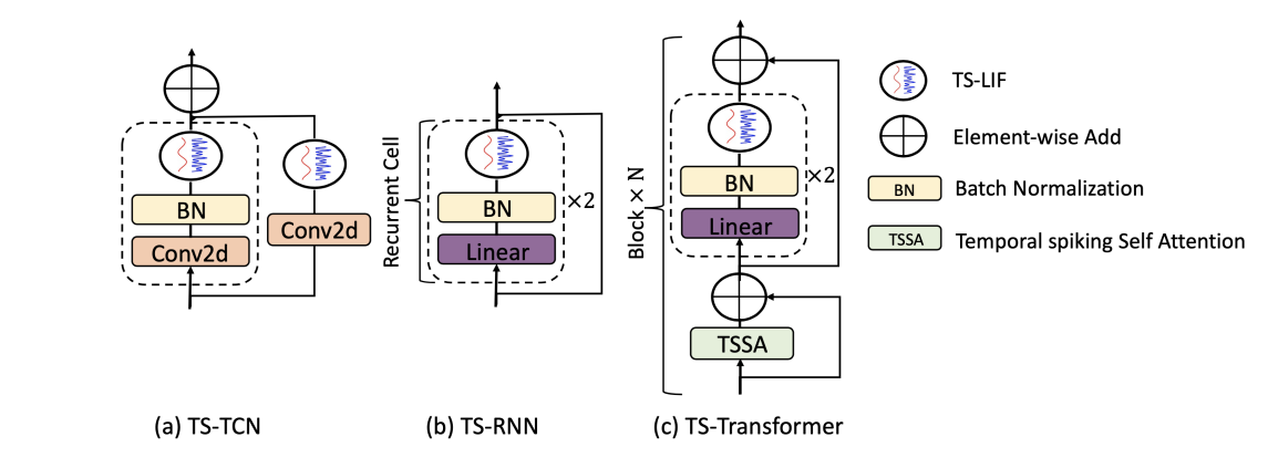 An illustration of our proposed TS-LIF based spiking structure in three models