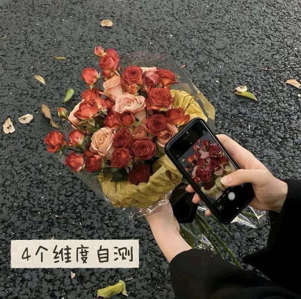 数据开放程度与AI替代风险关系图