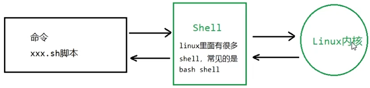Linux的Shell编程_linux shell脚本编程-CSDN博客