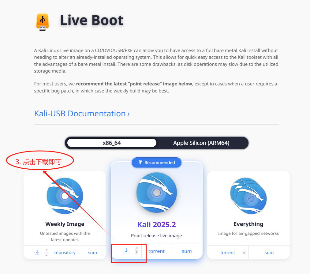 Kali Linux 系统安装到U盘【保姆级教程，小白也可以完成】_kali安装到u盘