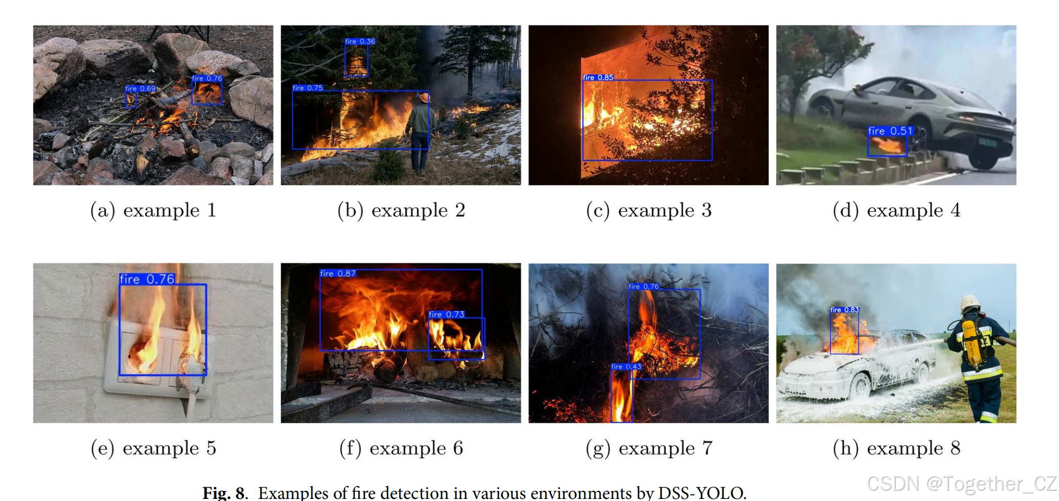 DSS-YOLO: an improved lightweight real-time fire detection model based ...