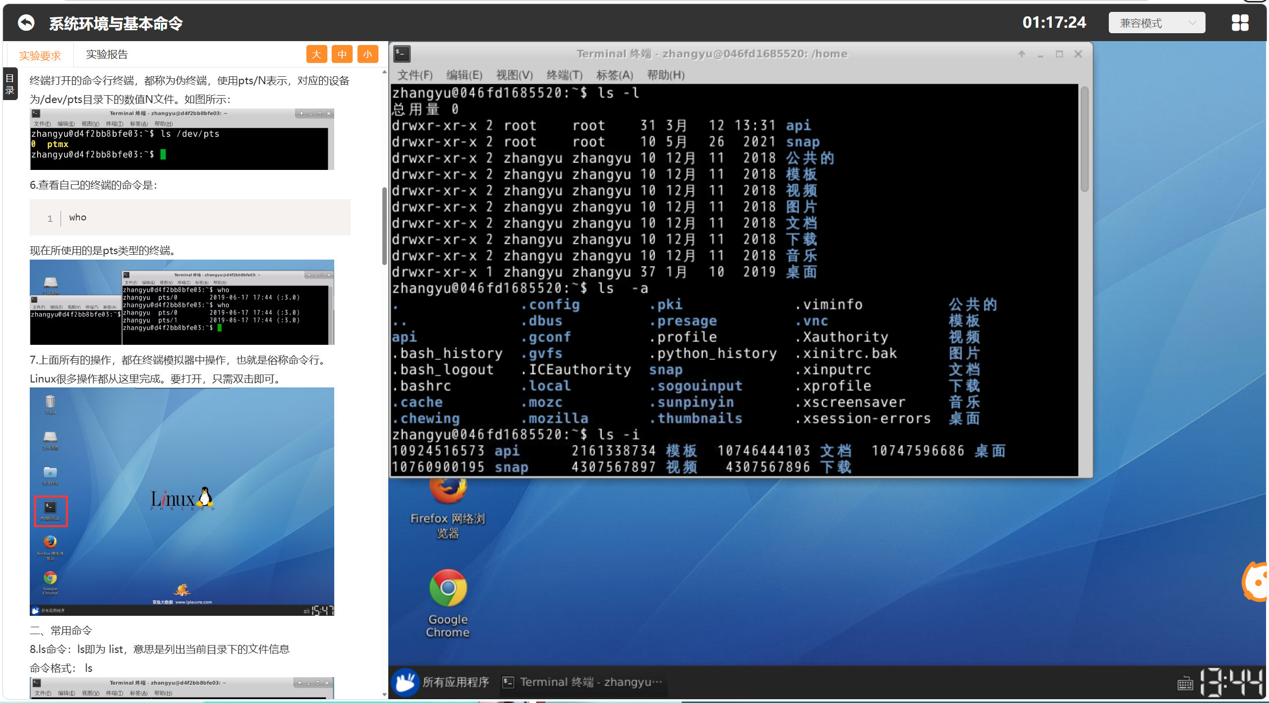 Linux系统环境与基本命令-CSDN博客