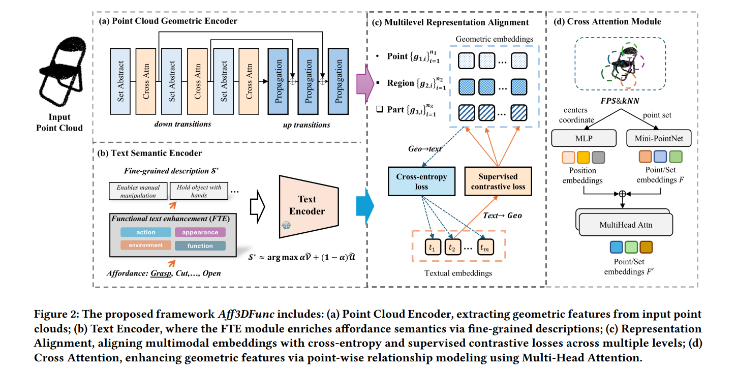 The proposed framework Aff3DFunc