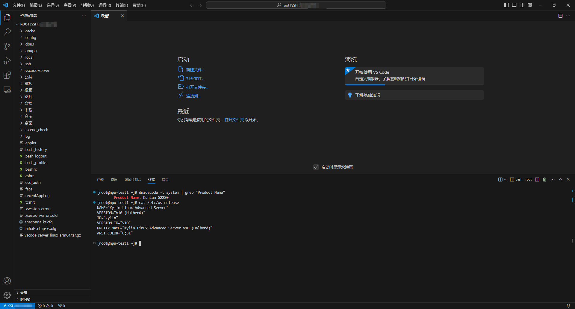 最后就可以vscode爽用服务器了