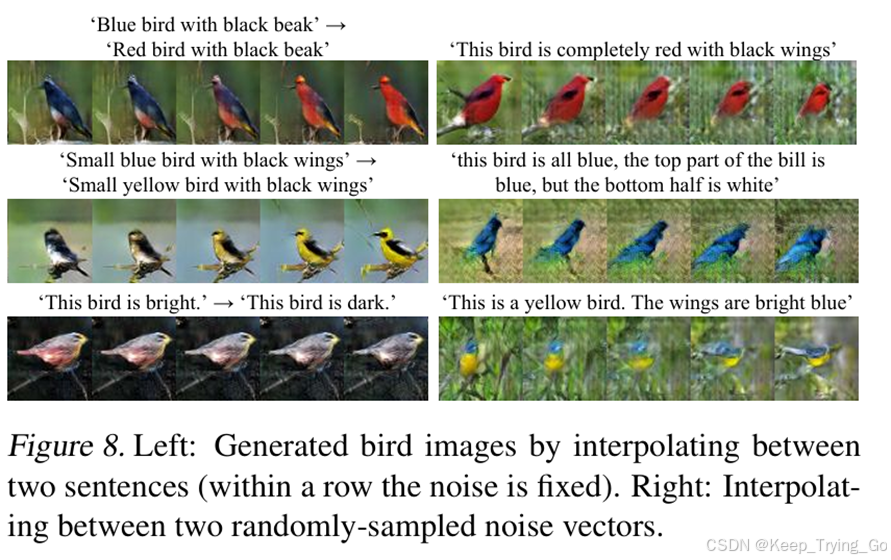 论文Generative Adversarial Text to Image Synthesis详解-CSDN博客