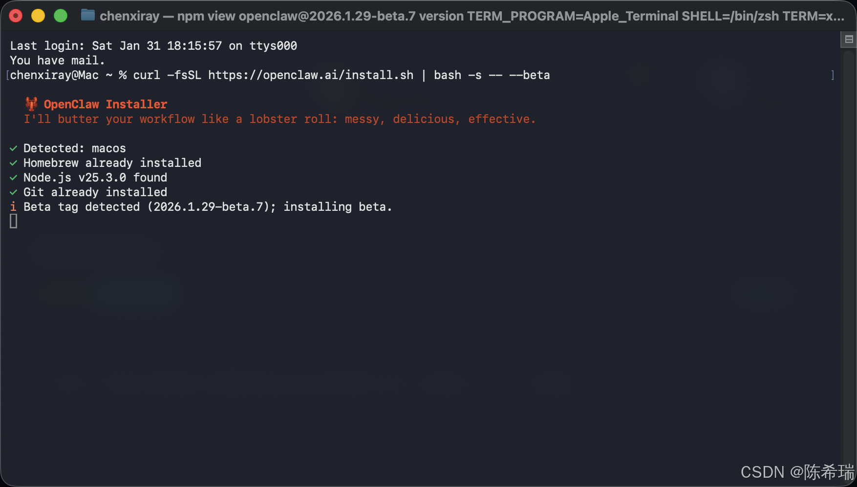 openclawd安装界面