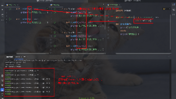 文章图片