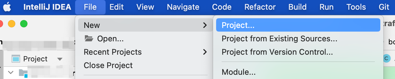 图1 开始新建项目