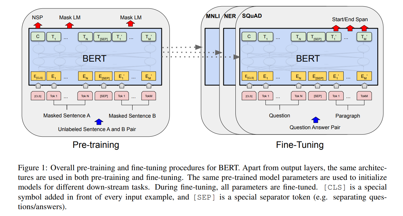 Overall pre-training and fine-tuning procedures for BERT