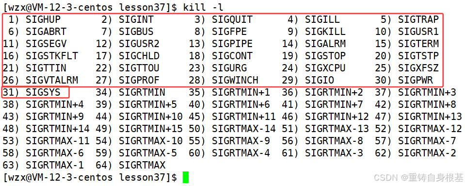 【linux】进程信号(二)信号的发送,信号的保存,sigset_t,sigprocmask,sigpending-CSDN博客