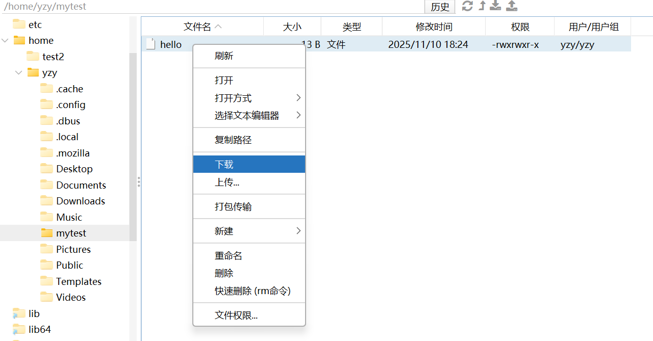 image-20251112212631591