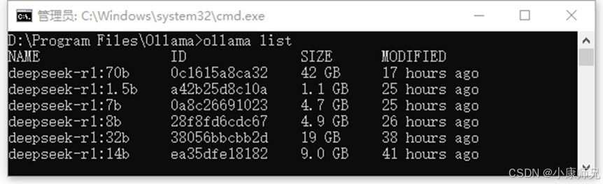 图4.12  Ollama查看当前计算机上的模型