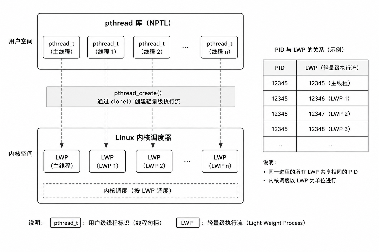pthread_t 与 LWP 的关系图