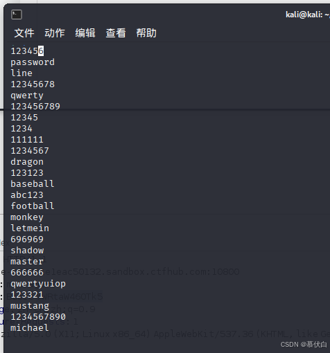 密码字典