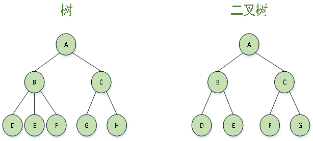 图6：树和二叉树