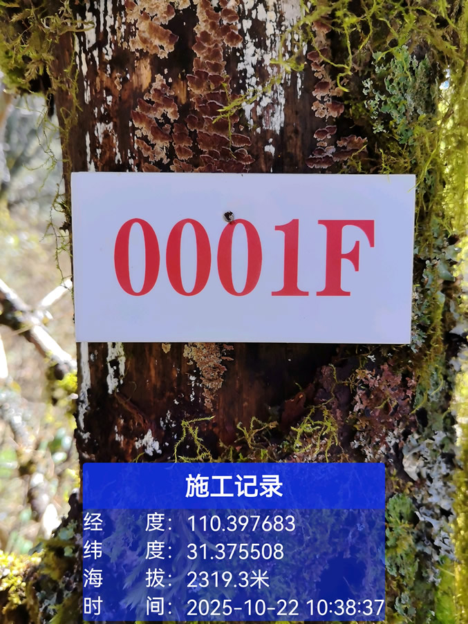 工程照片批量提取GPS经纬度定位信息：Exif读取+万能识别的双重方案_如何一键提取图片中的经纬度-CSDN博客