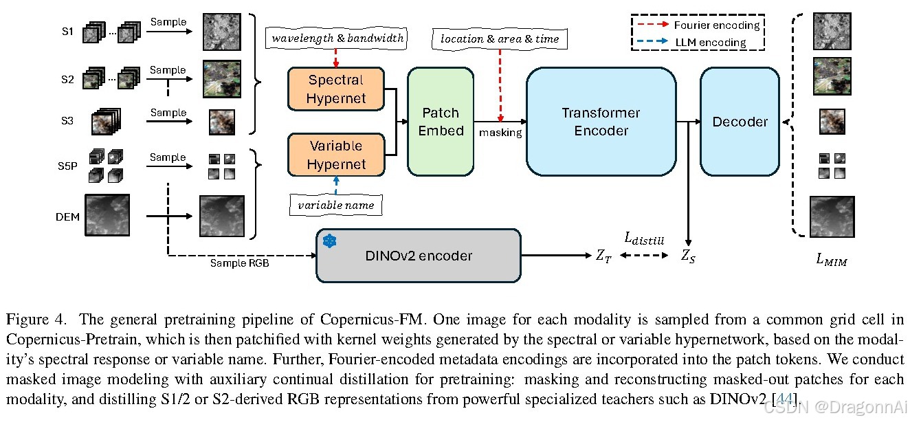 图2：Figure 4. The general pretraining pipeline of Copernicus-FM. One image for each modality i
