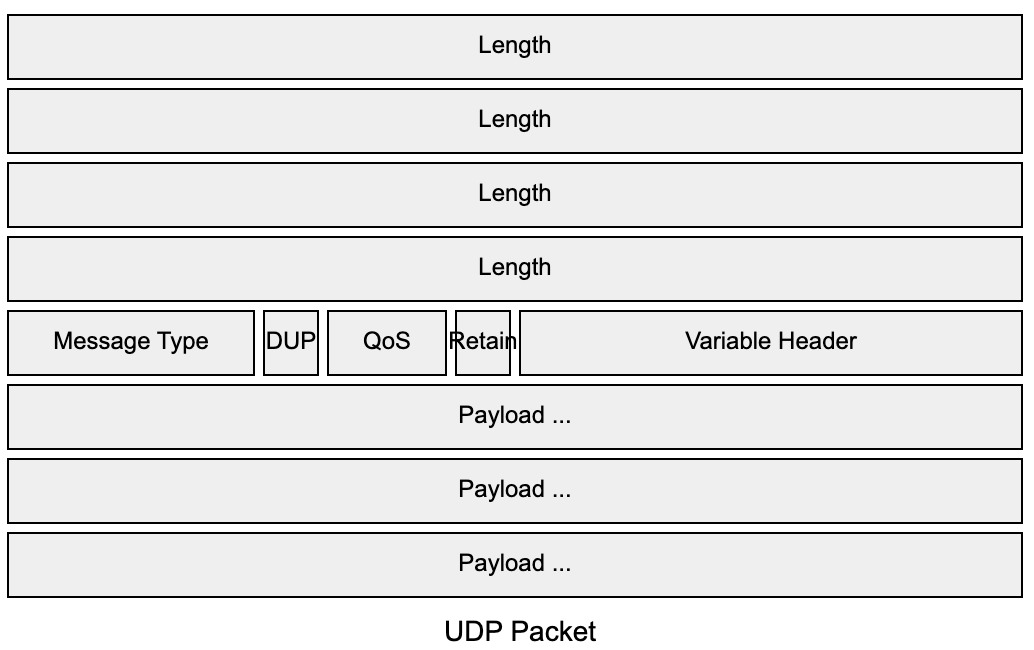 UDP Packet