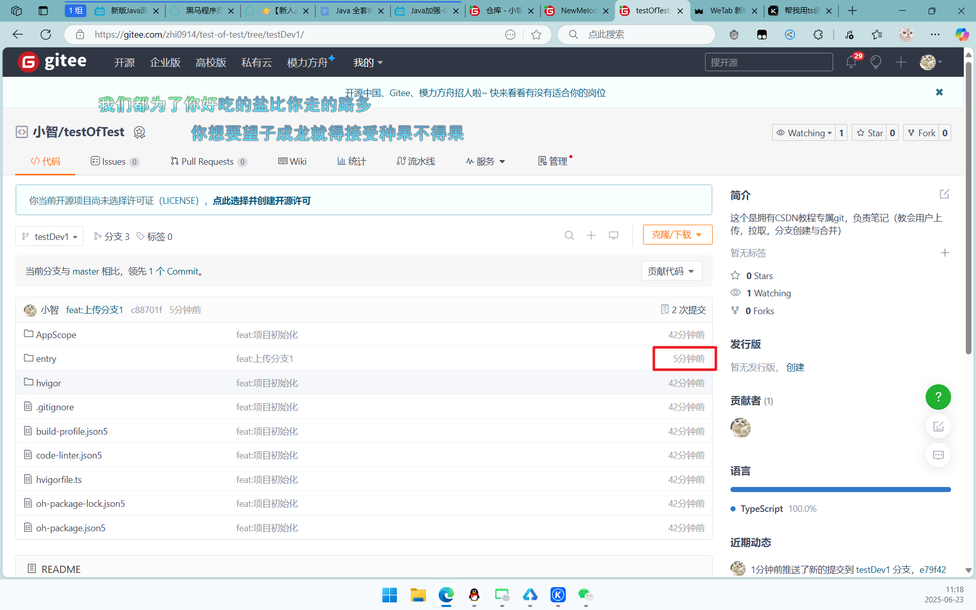一文读懂Gitee 拉取、上传、分支创建、合并_gitee创建分支