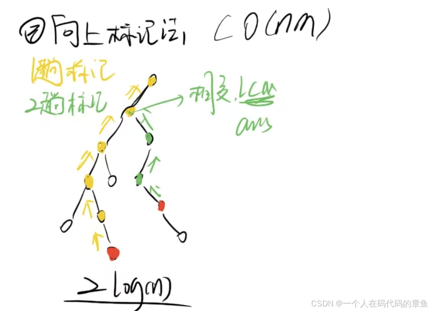 数据结构与算法-图论-最近公共祖先（LCA）（祖孙查询，距离，次小生成树）_lca(最近公共祖先)模型-CSDN博客