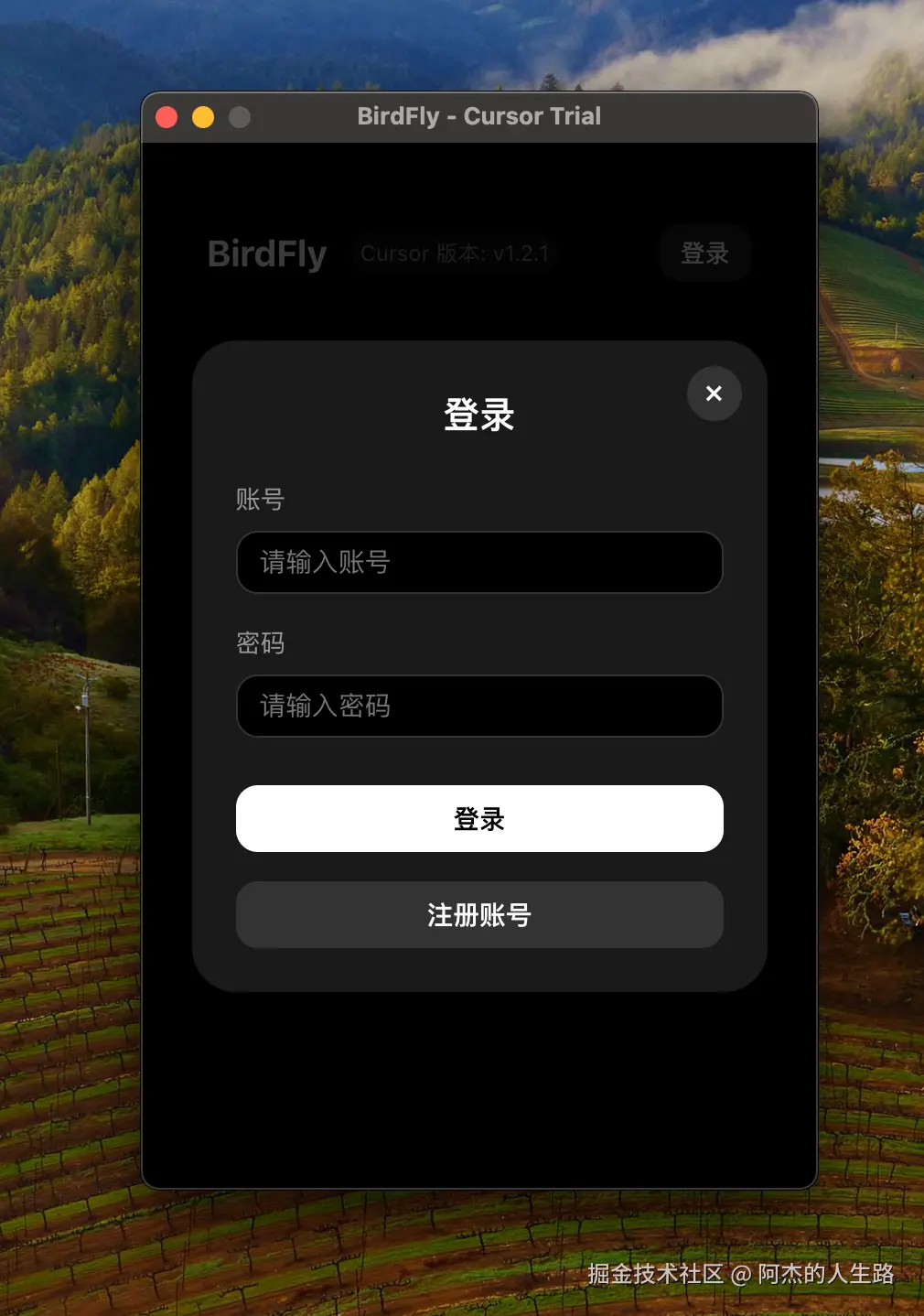 独立开发的第一个半付费 AI产品
