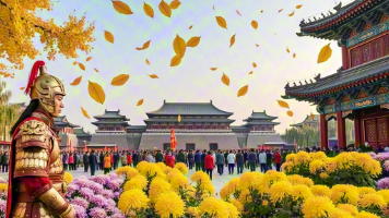 文章图片