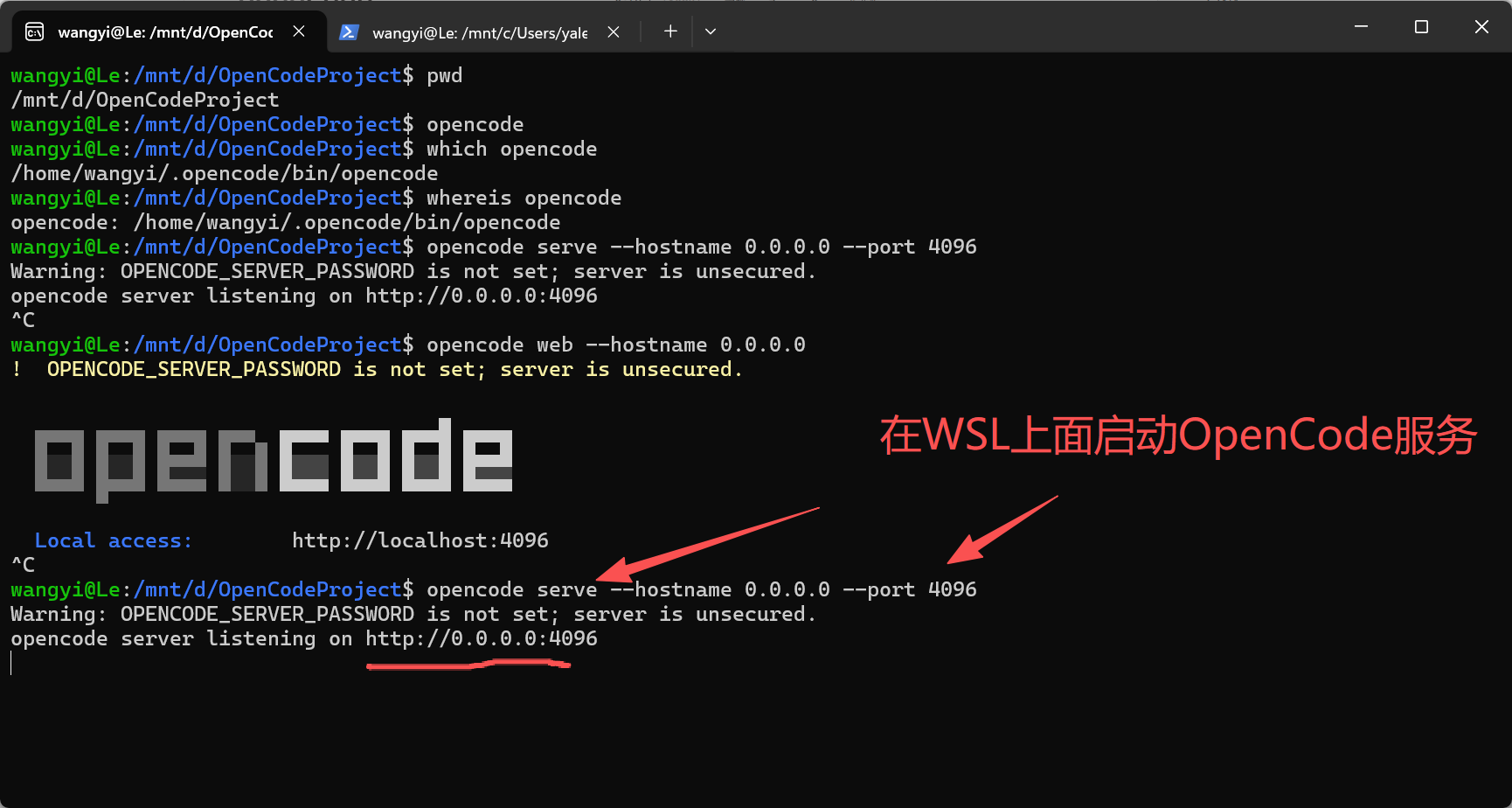 在WSL上面启动OpenCode服务器