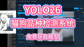 YOLO26精准识别37个猫狗品种(柯基/布偶/哈士奇…)(项目源码+YOLO数据集+模型权重+UI界面+python+深度学习+远程环境部署)封面图