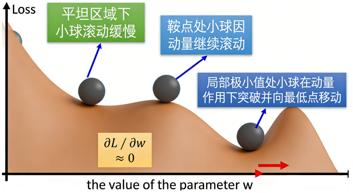 动量优化器详解:从原理到代码实现,彻底搞懂Momentum的惯性加速机制-CSDN博客