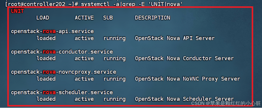 云计算实训（实验5、实验6）_nova api登录到host节点