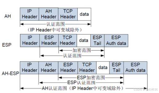 IPSec VPN技术分析_ipsec隧道-CSDN博客